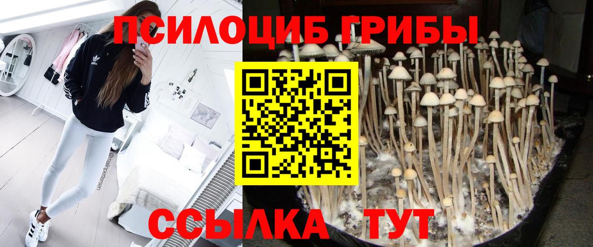 Белгород  Псилоцибиновые грибы прущие грибы  Вход с VPN 
